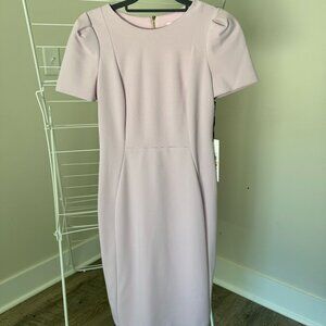 NWT Calvin Klein Calvin Subtle Puff Short Sleeve Fitted Sheath Dress Sz 2 Pink